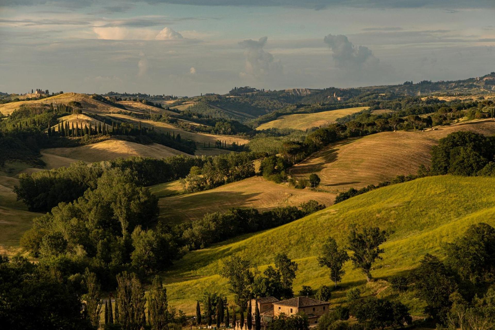 Agriturismo Percenna Buonconvento Exterior foto